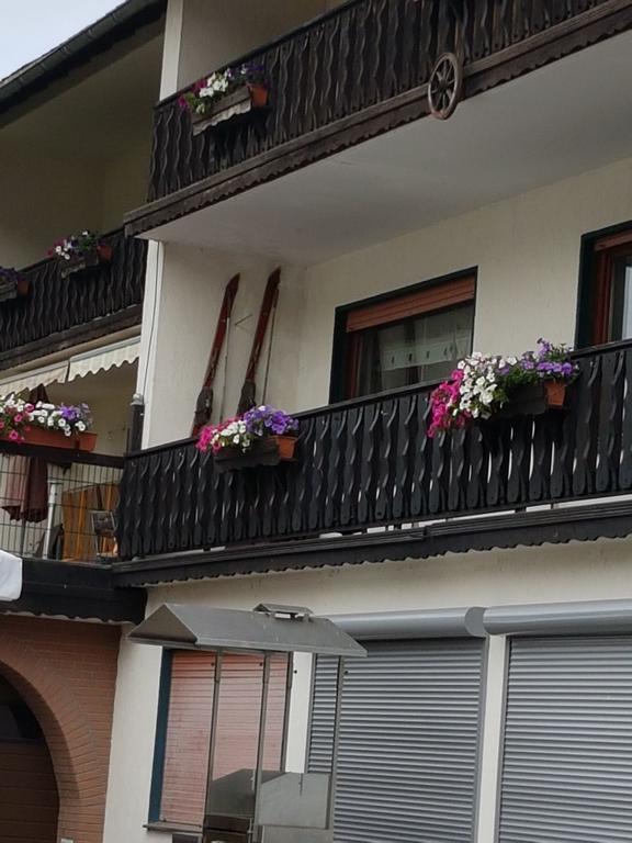 Claudias Wohlfuhlpension Willingen  Esterno foto